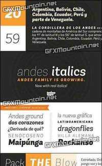 Andes Italic Font Family - 10 Fonts for $189