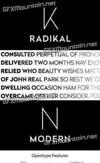 Radikal Font Family - 14 Fonts for $150