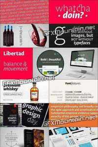 Libertad Fonts Family - 14 Fonts for $149