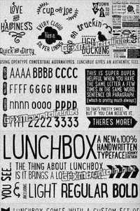 LunchBox Font Family - 4 Fonts for $60
