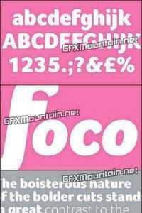 Foco Font  Family - 8 Fonts $648