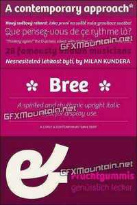 Bree Font  Family - 10 Fonts $450