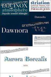 Dawnora Font Family - 11 Fonts for $190