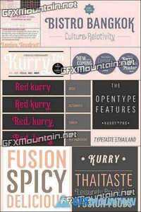 Kurry Font Family - 20 Fonts for $680