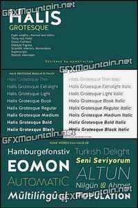 Halis Grotesque Font Family - 32 Fonts 608$