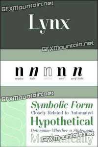 Lynx Font Family - 5 Fonts for $106