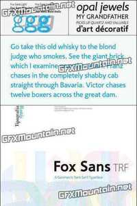 Fox Sans TRF Font Family - 6 Fonts for $140