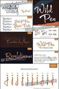 Wild Pen Font Family - 6 Fonts for $30