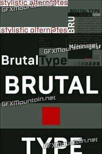 Brutal Type Font Family - 8 Fonts for $150
