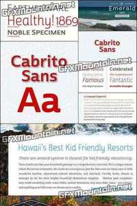 Cabrito Sans Font Family - 48 Fints for $124