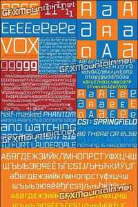 Vox Font Family - 20 Fonts for $200