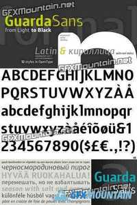 Guarda Sans Font Family - 12 Fonts for $222