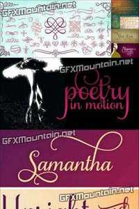 Samantha Script Font Family - 8 Fonts for $144