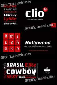 Clio Font Family - 24 Fonts for $389
