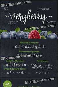 Veryberry Script Font for $25