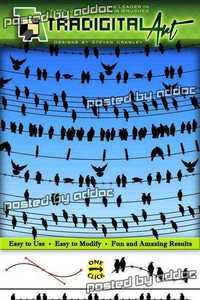 GraphicRiver - Birds on a Wire Brushes Set