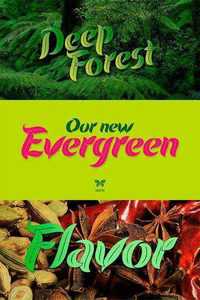 Evergreen Font Family