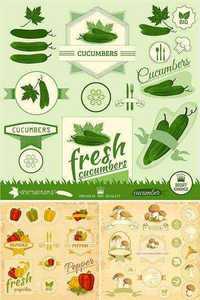 Stock: Vegetables labels, mushrooms, tomato, chili, cucumber, paprika