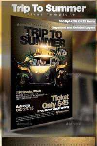 GraphicRiver - Trip To Summer Flyer Template 10518632