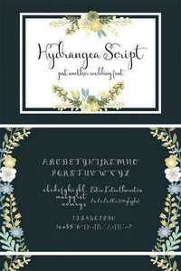 Hydrangea Script - Wedding Font