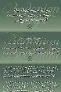 Bodonian Script - Fancy 7 Script Fonts