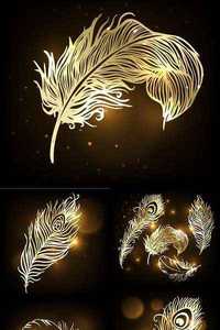 Stock Vectors - Shiny gold feather over dark background.  Vector illustration