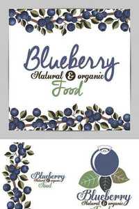 Stock Vectors - Blueberry design over white background, vector illustration