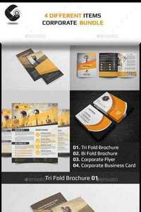 Graphicriver Corporate Brochure Bundle 11795275