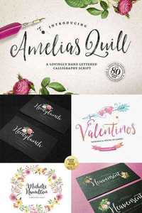 Amelia's Quill Script + Bonus