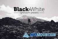Black & White Lightroom Presets