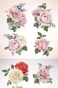 Various Roses