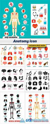 Anatomy icon - 7 EPS