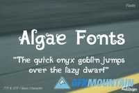  Algae