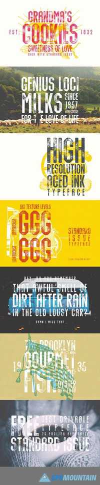 Standard Issue Typeface Font