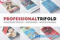 Professional Trifolds Bundle 379874
