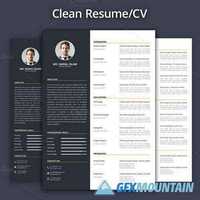 Clean Resume CV Template 388345
