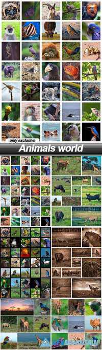 Animals world - 6 UHQ JPEG
