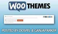 WooThemes - WooCommerce Stripe Gateway Plugin v2.6.1