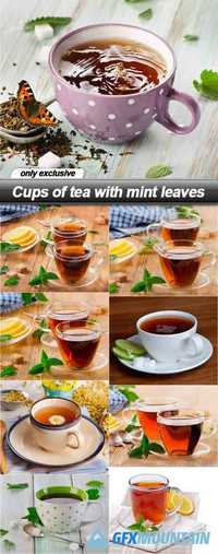 Cups of tea with mint leaves - 9 UHQ JPEG