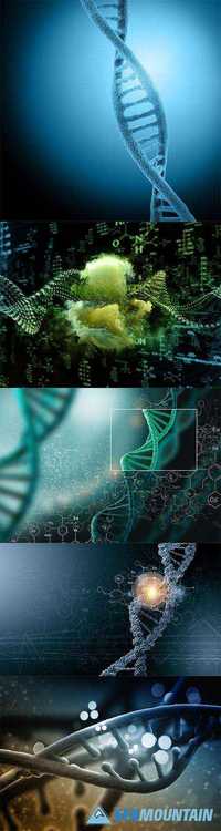 Conceptual DNA