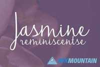 Jasmine Reminiscentse 80225