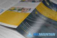 Business Z-fold Brochure 423824