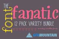 The Font Fanatic 12 Pack 434673
