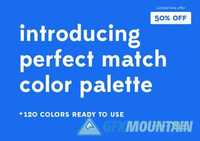 Perfect Match Color Palette  452966