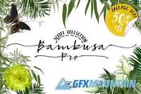 Bambusa Pro