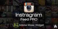 CodeCanyon - Instagram Feed Pro Widget for Adobe Muse - 13225756