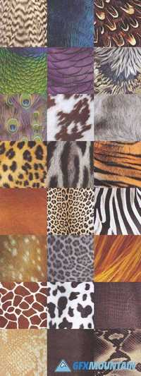 Fur, Feathers, Scales & Skins Bundle