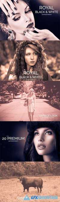 Royal Black&White Lightroom Presets 482165