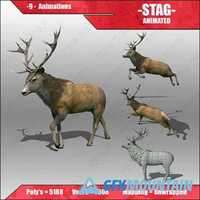 Stag Animated 3D model