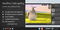 CodeCanyon - Video Gallery Wordpress Plugin /w YouTube, Vimeo v8.70 - 157782